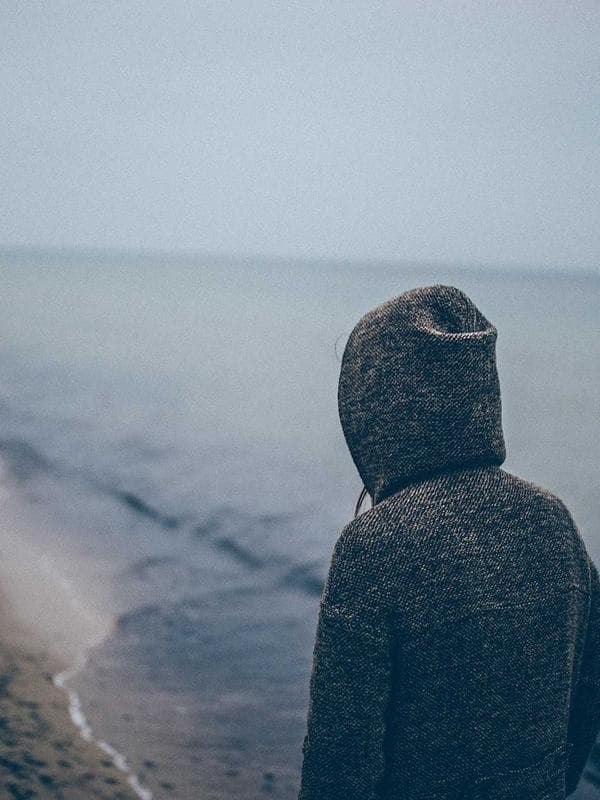 Pinus Pengger Forest Walk